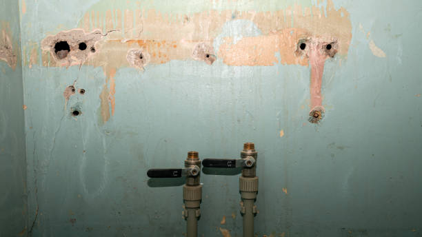 24/7 water damage repair in OR