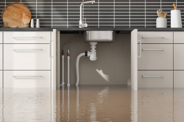 Water damage restoration insurance claims in OR